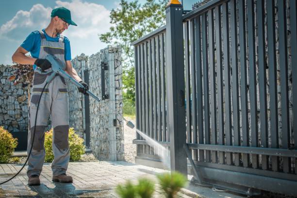 Best Gutter Cleaning  in Fredonia, NY